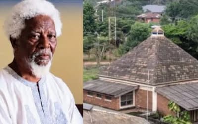 Cooling Without Air Conditioning: What Demas Nwoko's Clay Houses Say About Nigerian Design