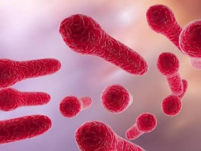 Tetanus: Causes, Symptoms, Prevention, and Treatment