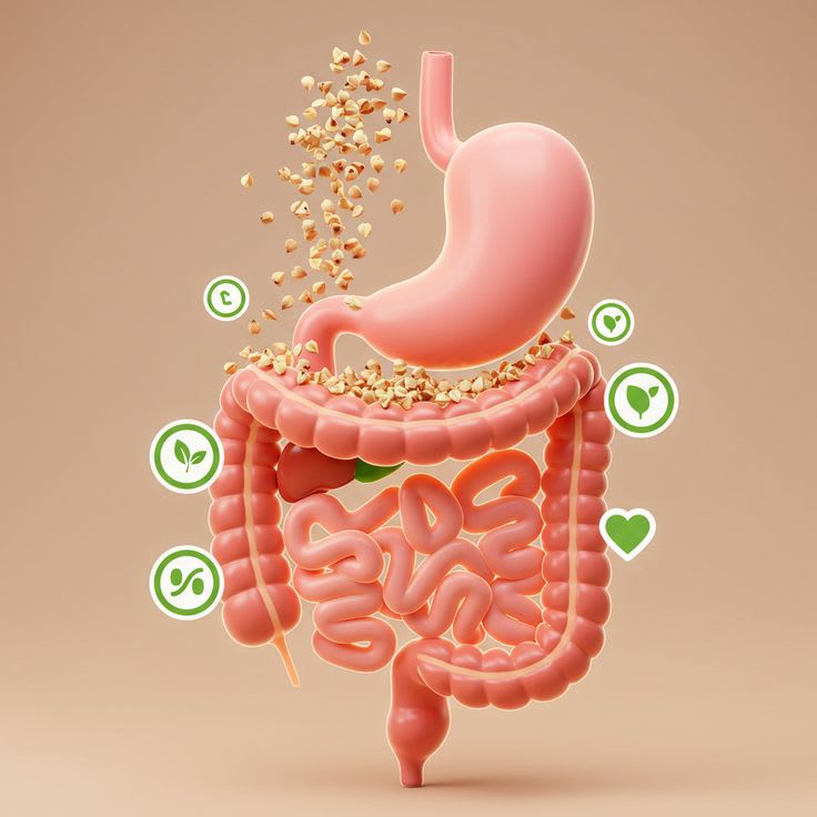 UNDERSTANDING BLOATING AND GUT HEALTH 