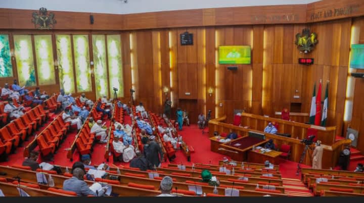 National Assembly Faces Mounting Pressure Over Key Reforms Amid Rising Public Concerns