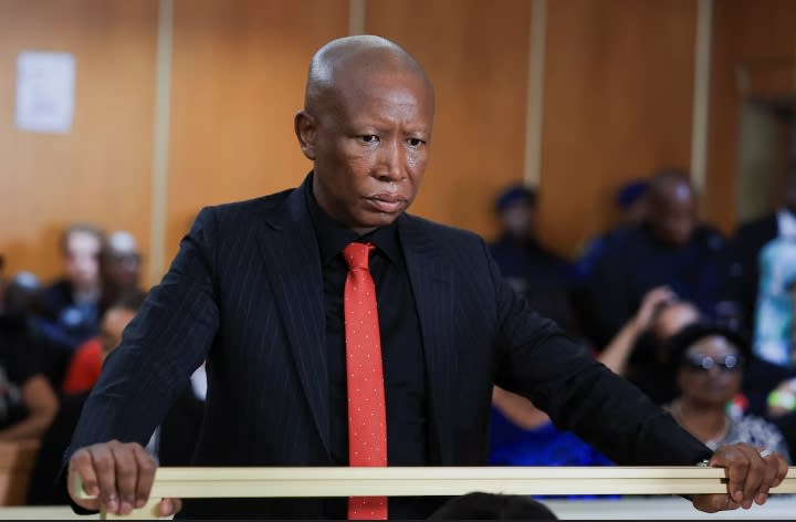 South African Opposition Leader, Julius Malema Sentenced to Five Years Over Firearm Offences