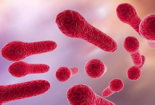 Tetanus: Causes, Symptoms, Prevention, and Treatment