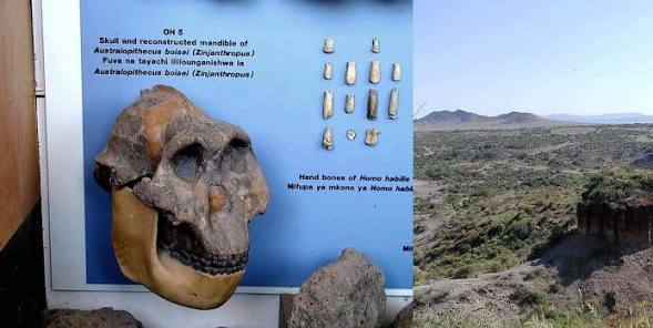 THE CRADLE OF HUMAN KIND: OLDUVAI GORGE TANZANIA 
