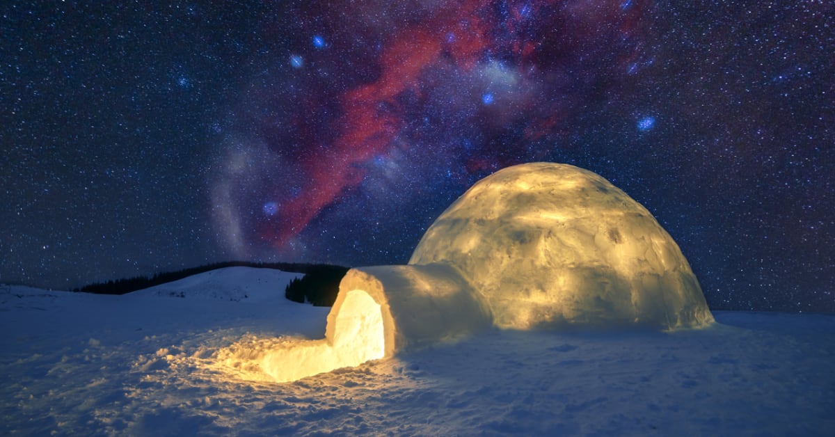 Snowy pine forest at dusk under a dark sky with faint stars