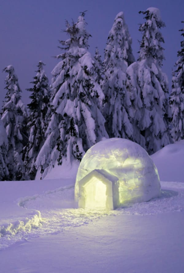 Glowing igloo in a snowy forest at twilight, portrait orientation