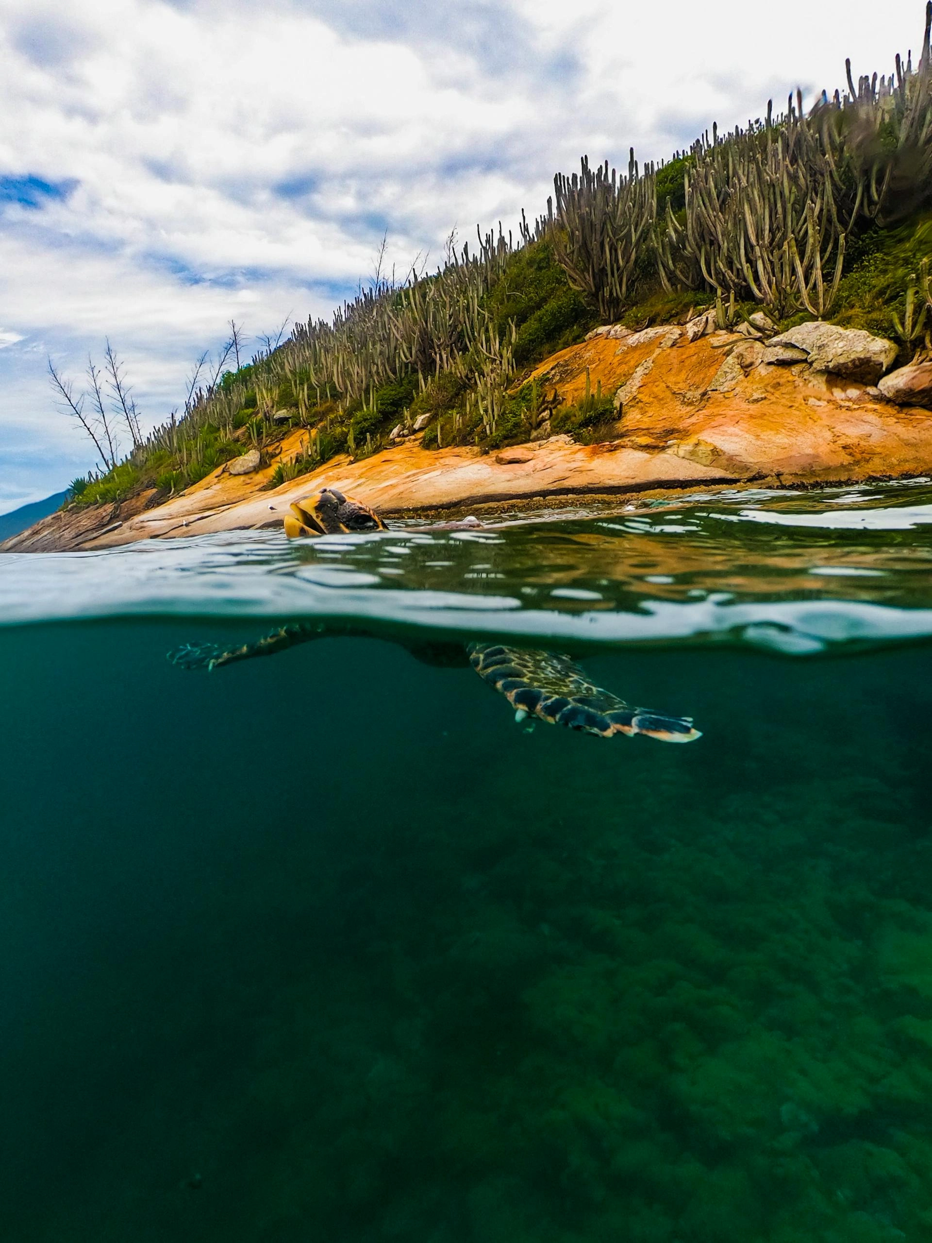 Arraial do Cabo