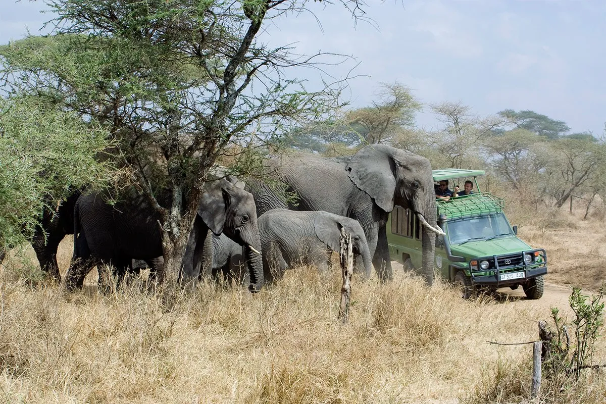 12-Day Uganda Big Five Safari & Gorilla Trekking Tour