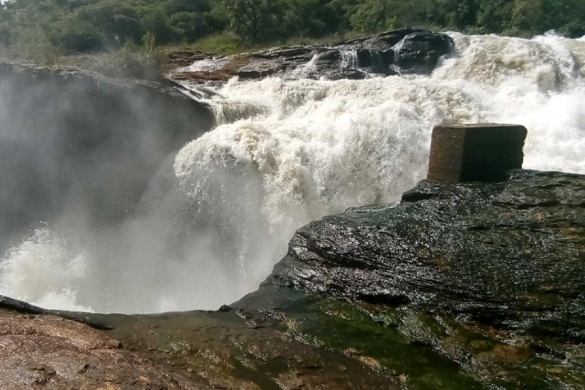 4 Days Murchison Uganda Safari