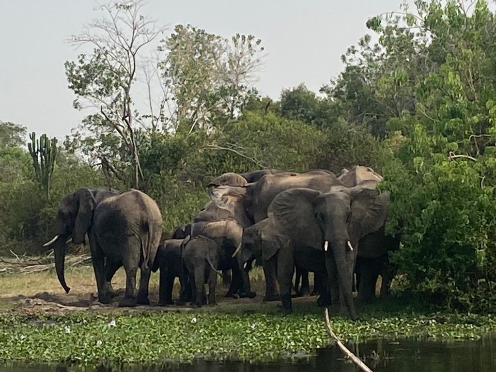 6-Day Roaring Kenya Mid-Range Safari