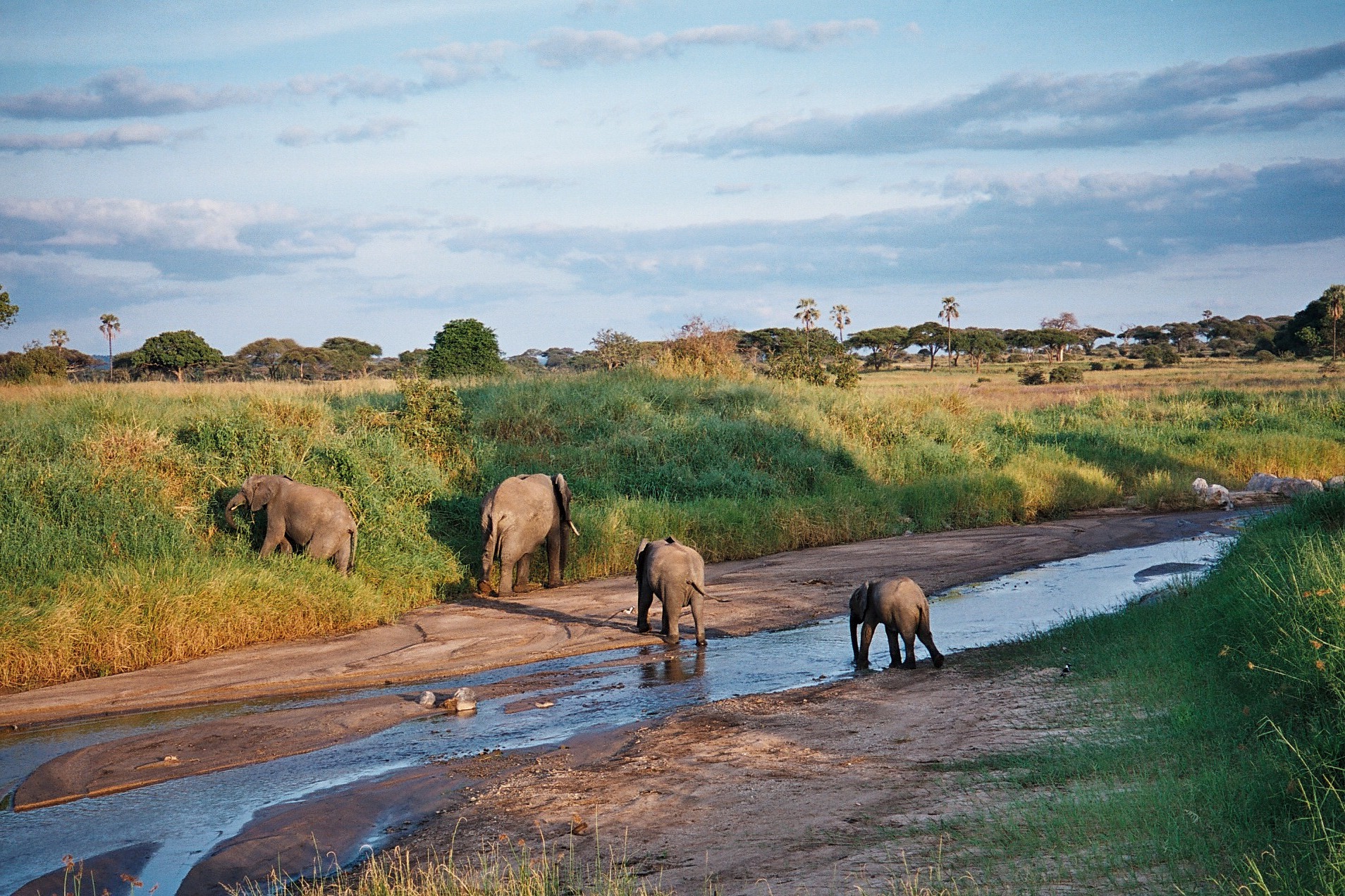 9-Day Tanzania Adventure Safari