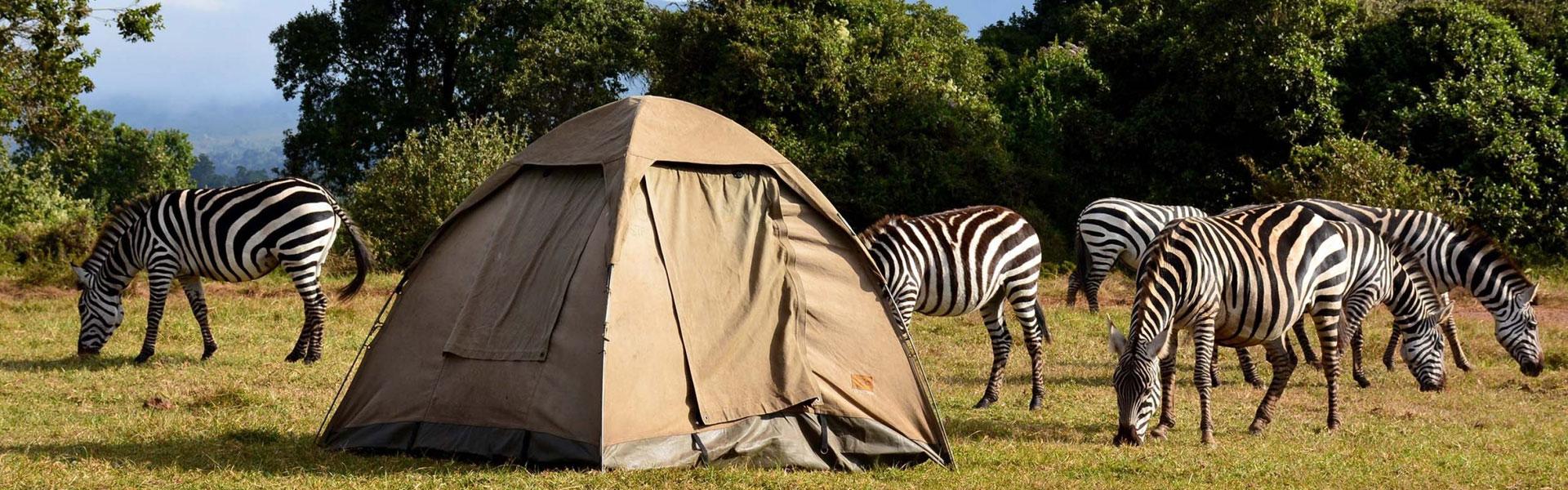 7-Day Kenya Wildlife Budget Safari