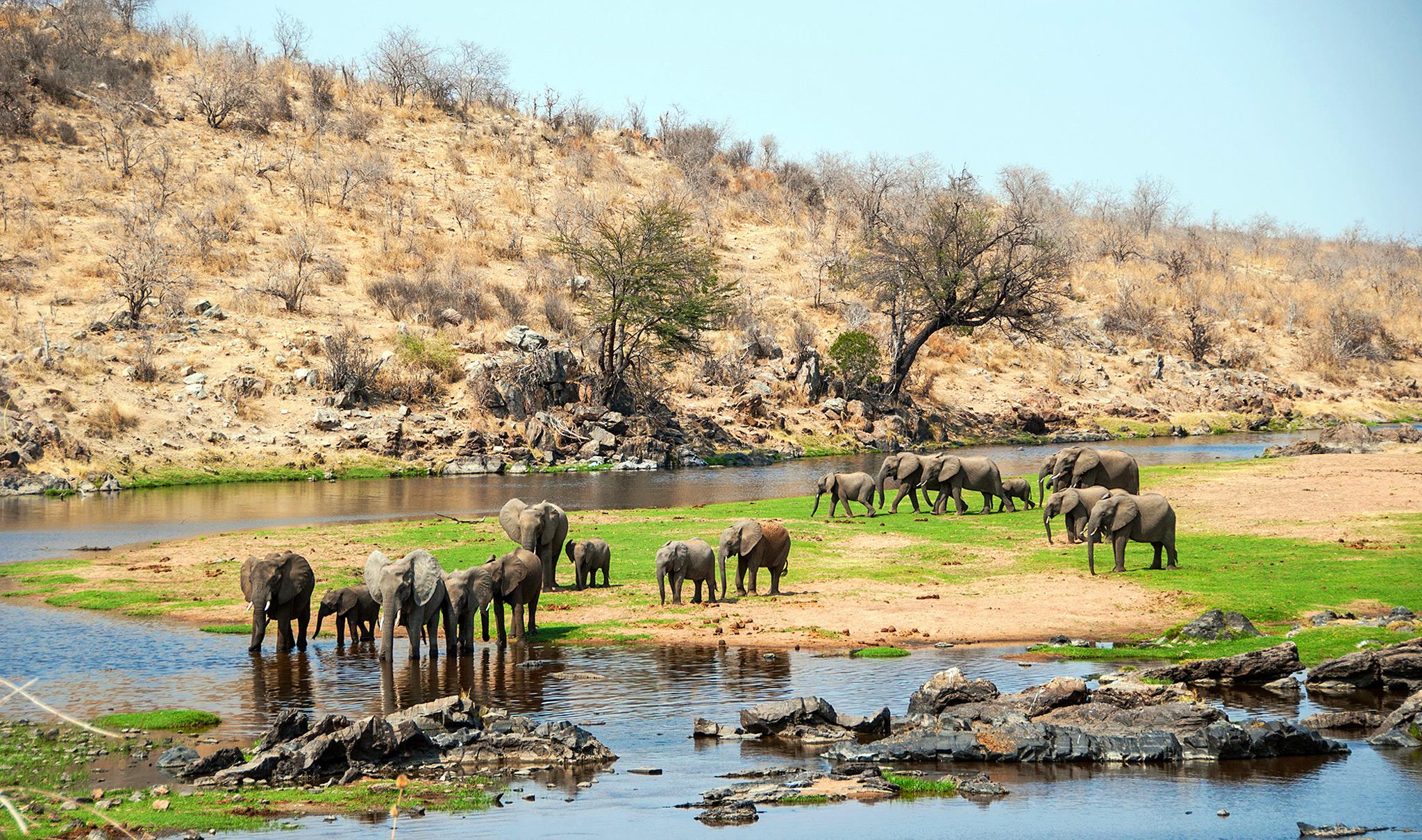 7-Day Tanzania Wildlife Safari