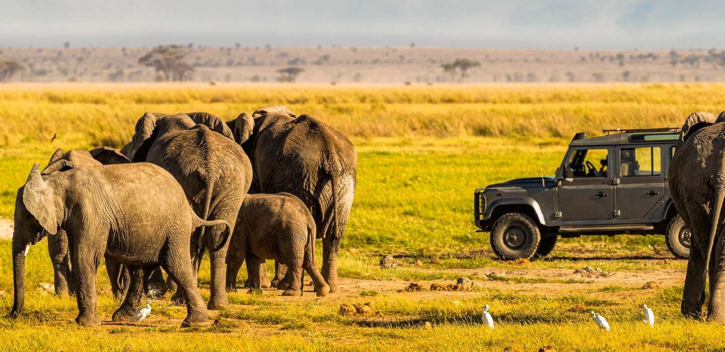 9-Day Kenya Wildlife Road Safari
