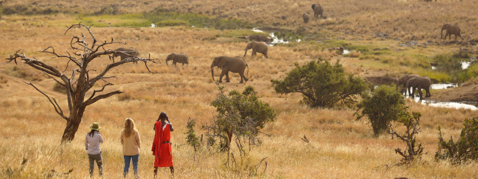 11 Days Kenya Ultimate Safari