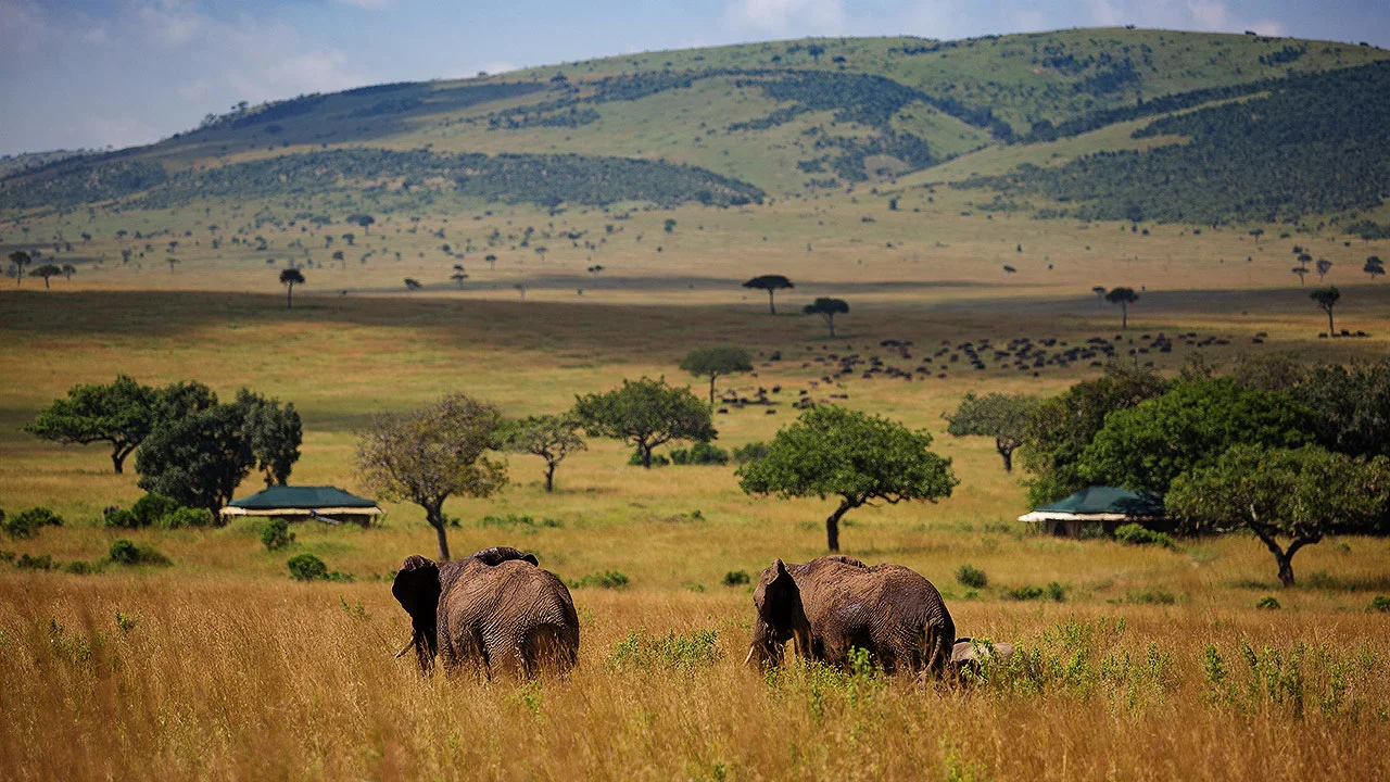 13 Days Kenya Rift Valley and Mara Safari