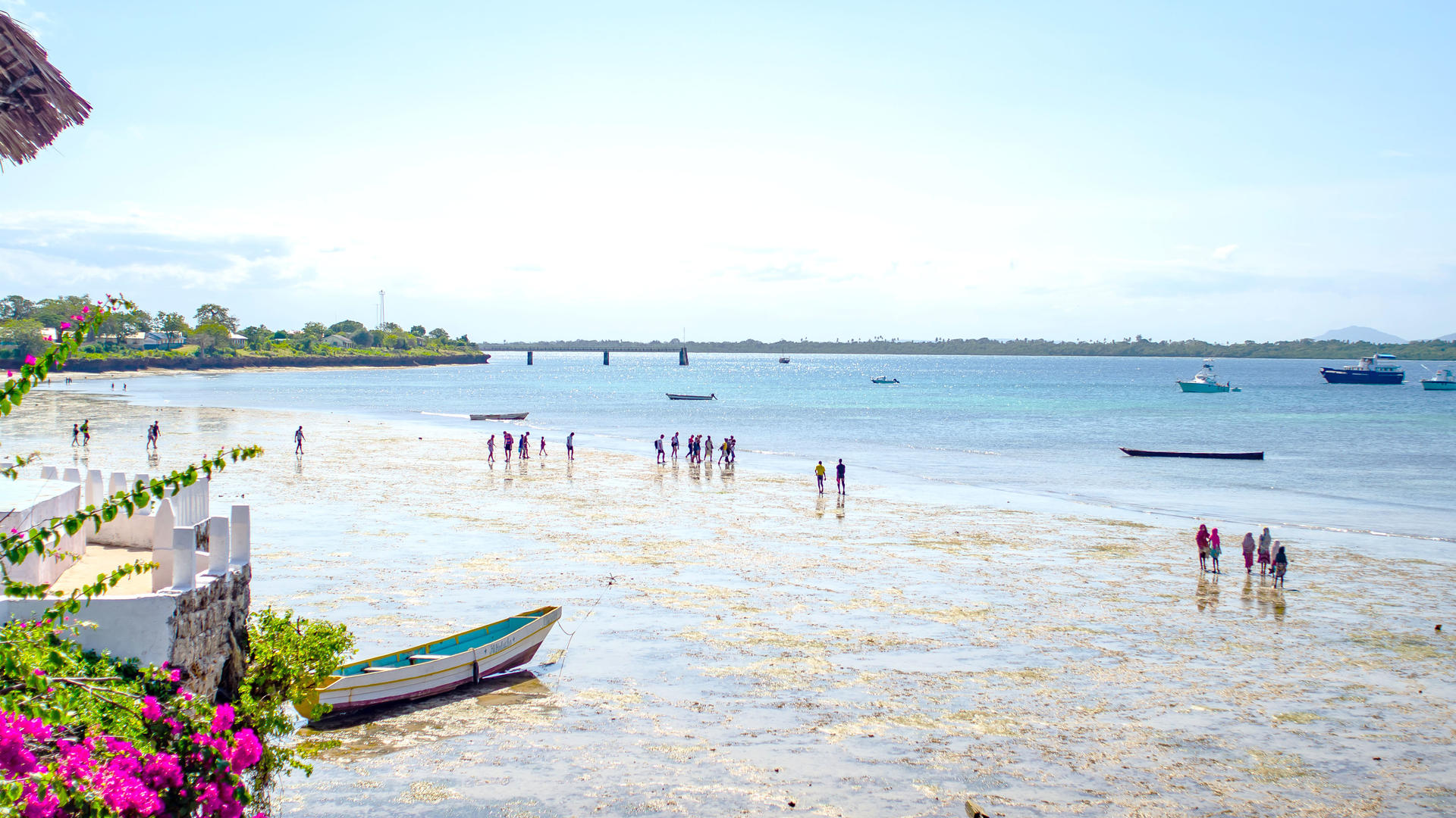 14 Days Kenya Safari and Beach Holiday – Ultimate Wildlife and Coastal Experience