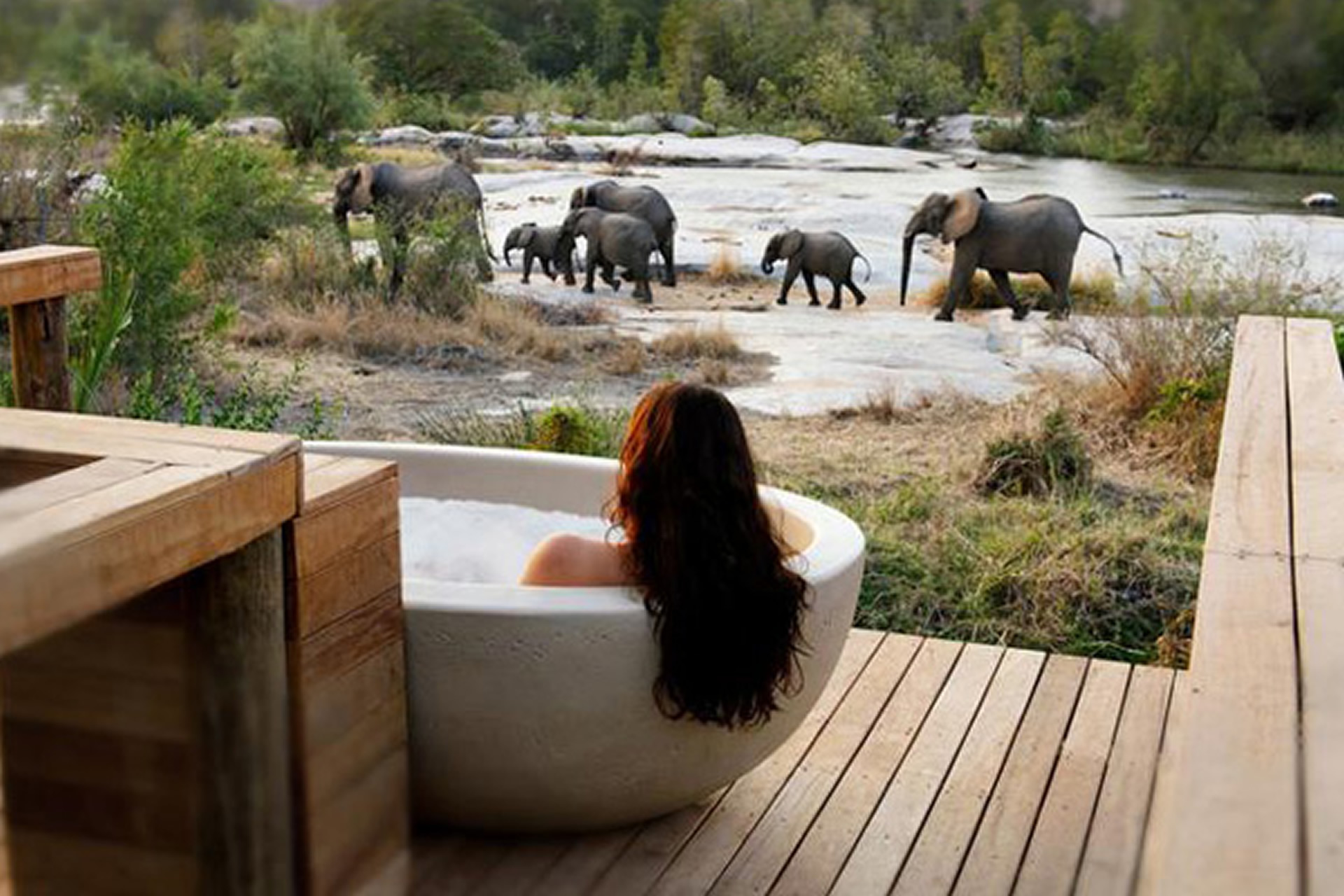 6-Day Luxury Honeymoon Safari Tarangire Serengeti Crater
