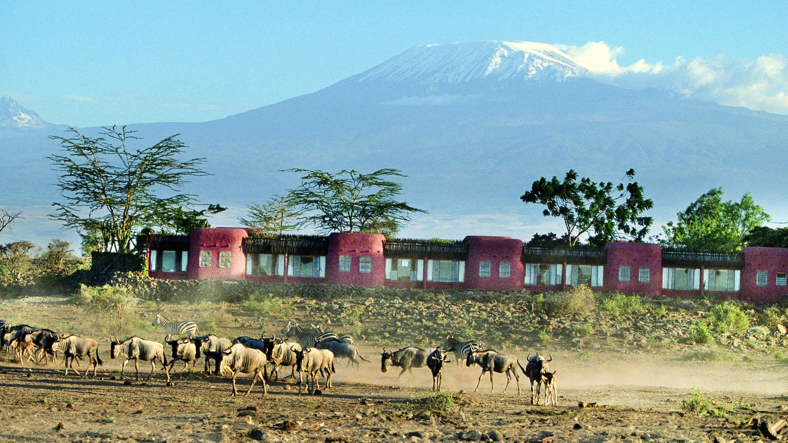 7-Day Tanzania Adventure Lodge Safari