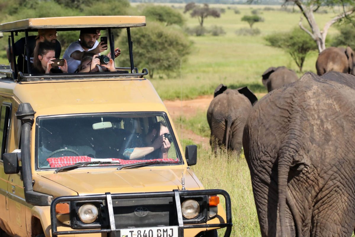 8-Day Tanzania Mid-Range Holiday Safari Expedition Trip