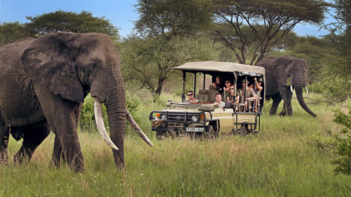8-Day Tanzania Northern Circuit Safari Big Five Holiday Expedition