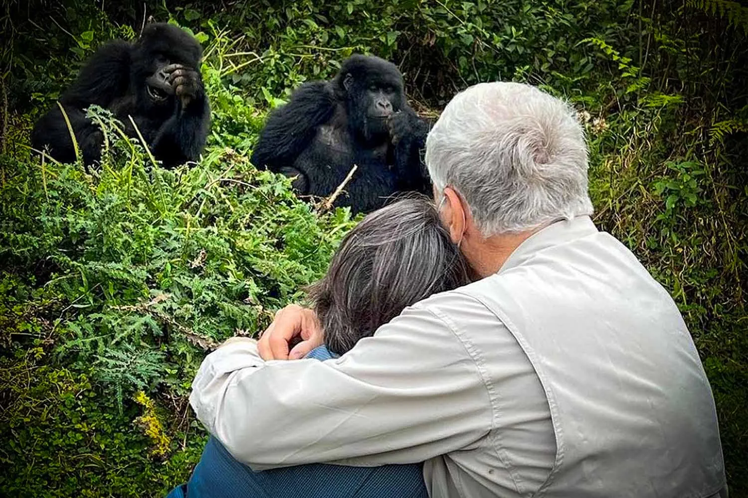 Senior Gorilla Trekking in Bwindi: A complete Guide for Older Travelers