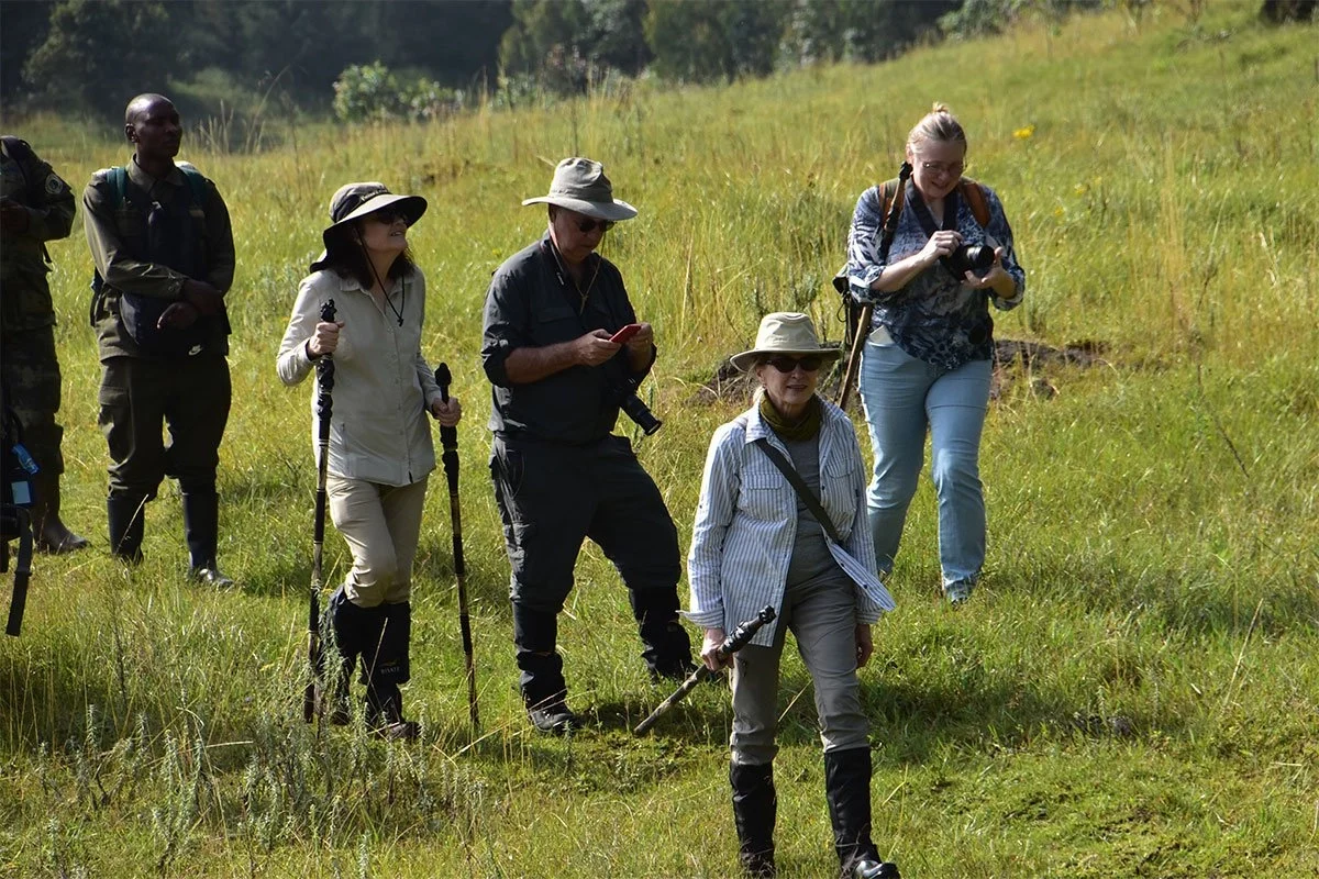 Why Wear Face Masks on Gorilla Trekking Safaris? Conservation & Safety in Bwindi