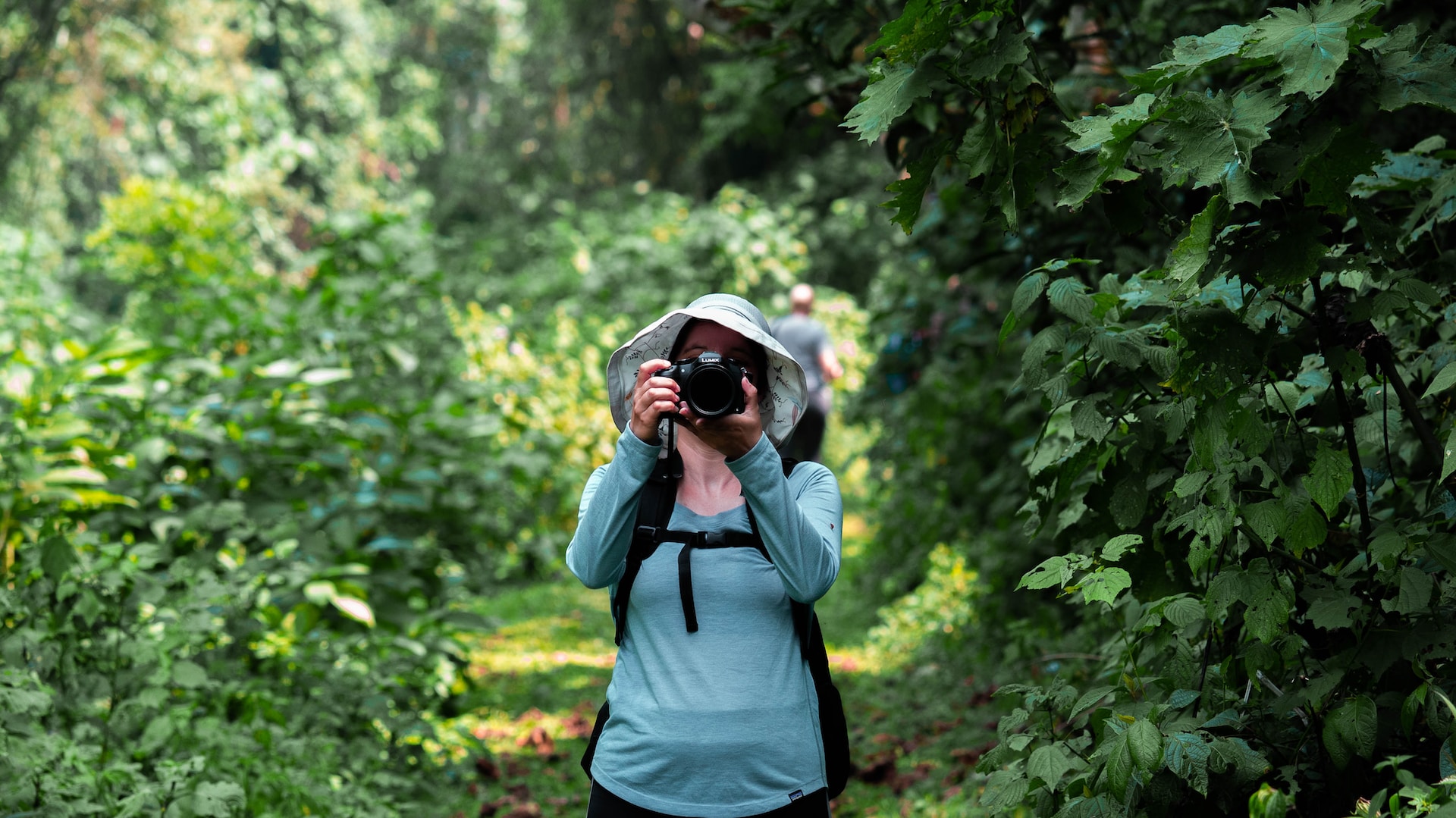 Travel Solo for Gorilla Trekking