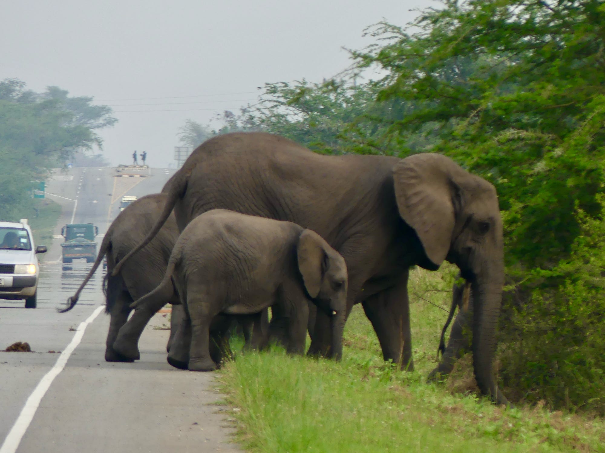 Travel Tips If Considering Uganda Africa as Your Next Destination