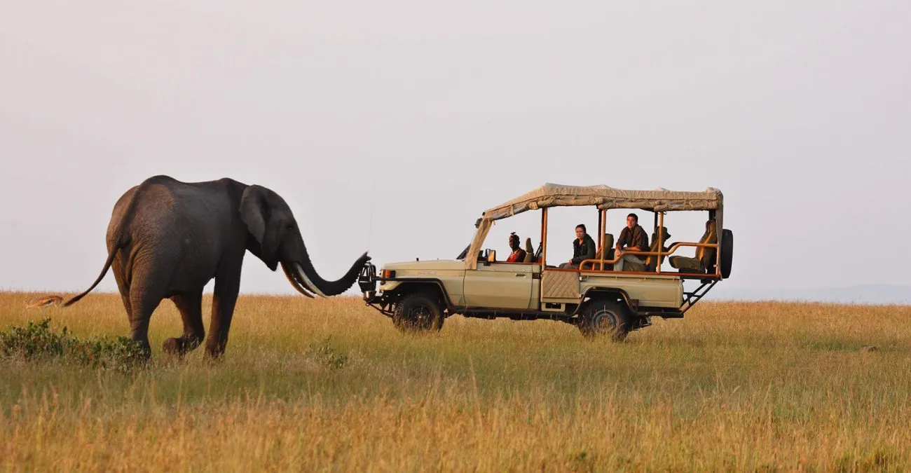 Best Vehicle for Safari in Africa