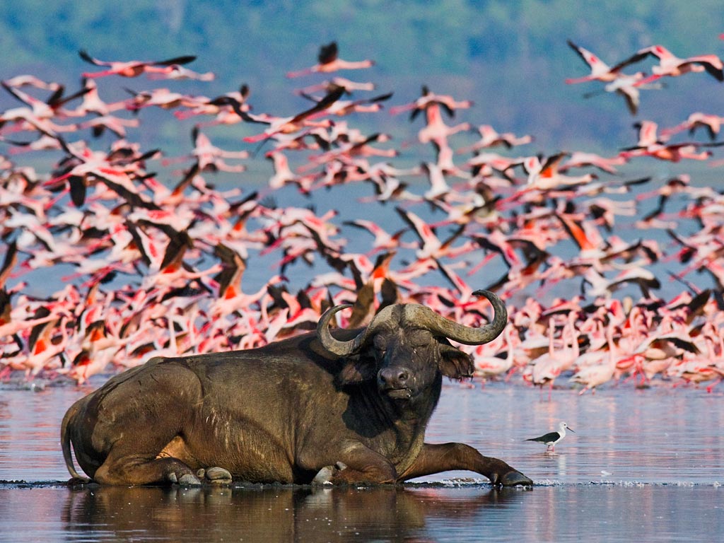 What to Pack for a Kenya Safari
