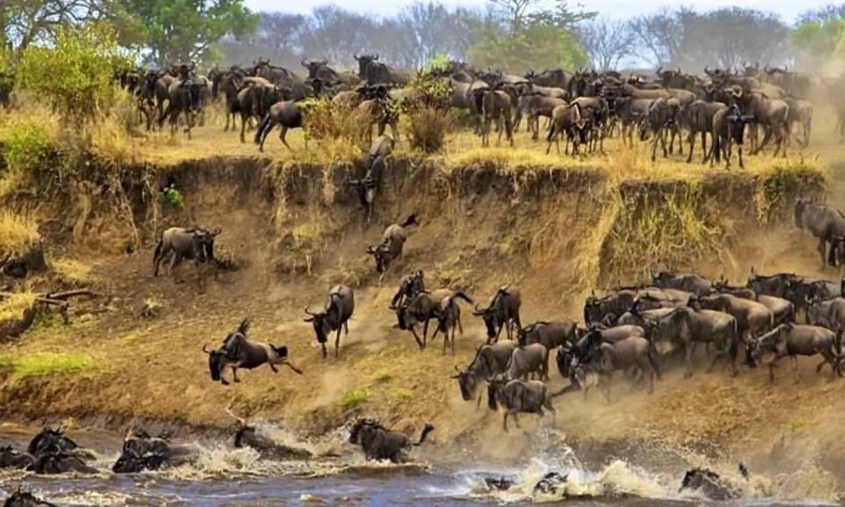 Why is Serengeti National Park Famous in Tanzania?