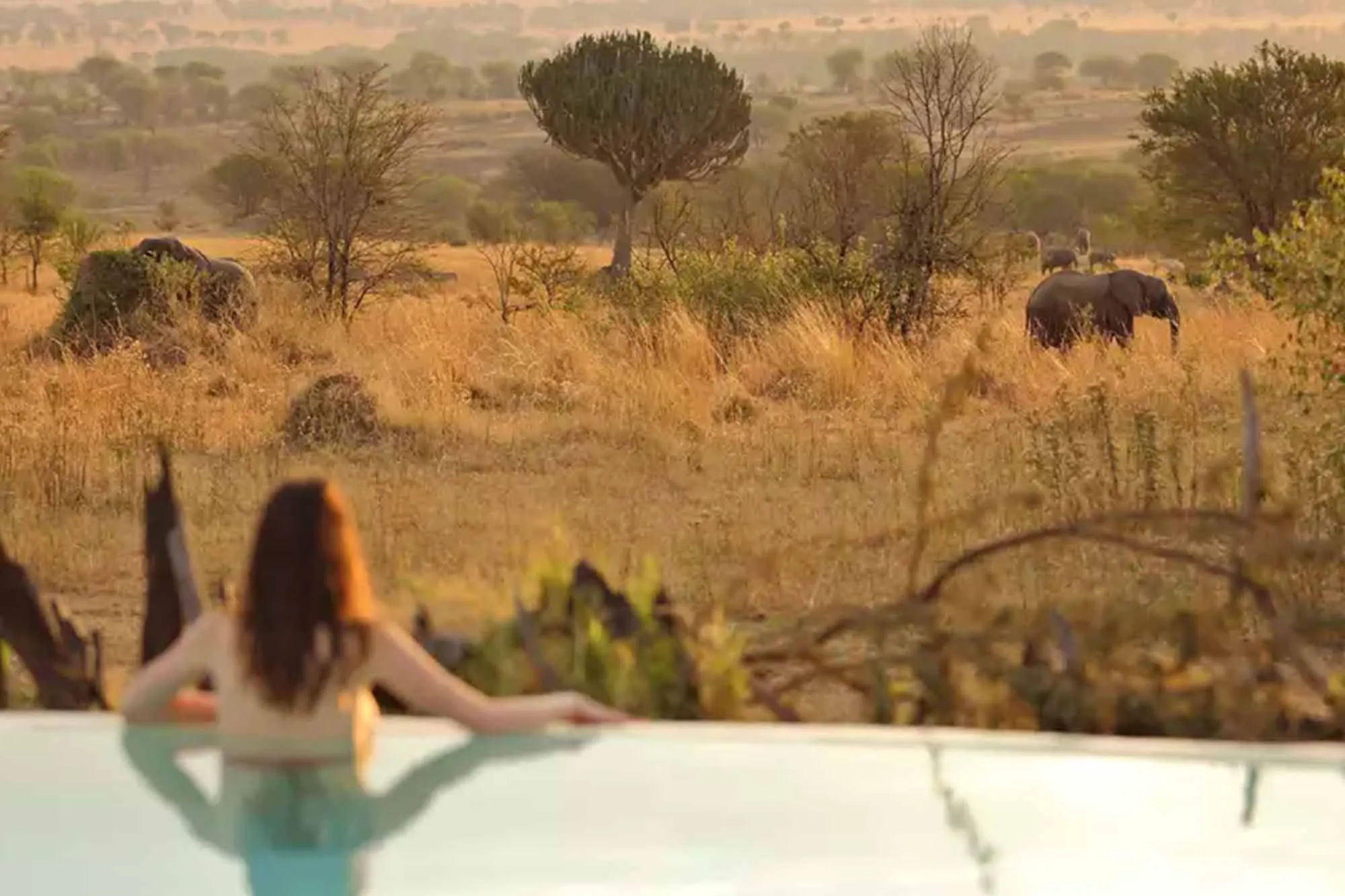 Can Kenya Safaris Be Tailored for Solo Travellers?