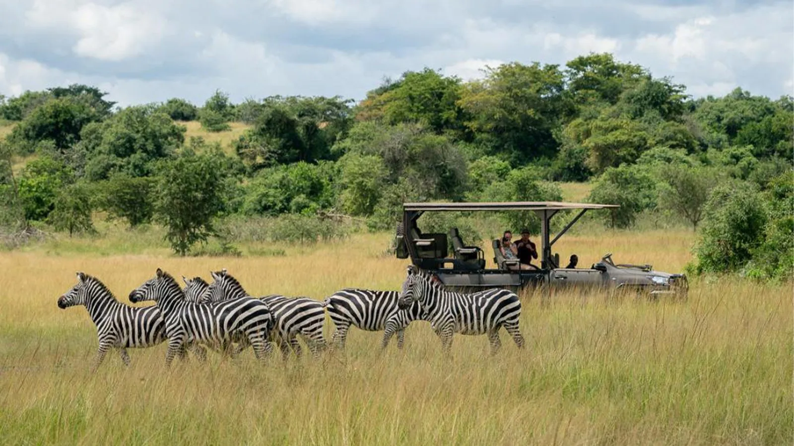 What Is the Best Time of Day for Game Drives in Masai Mara?