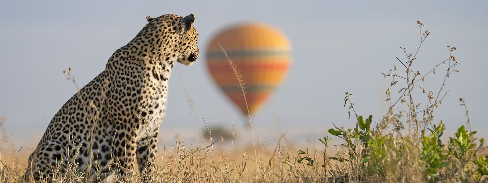 How Much Does a Masai Mara Safari Cost?