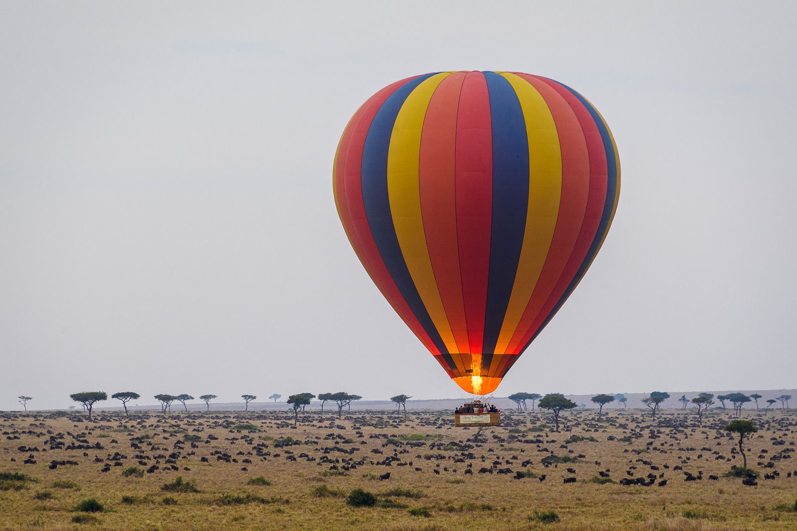 Are Hot Air Balloon Safaris Available in Masai Mara?