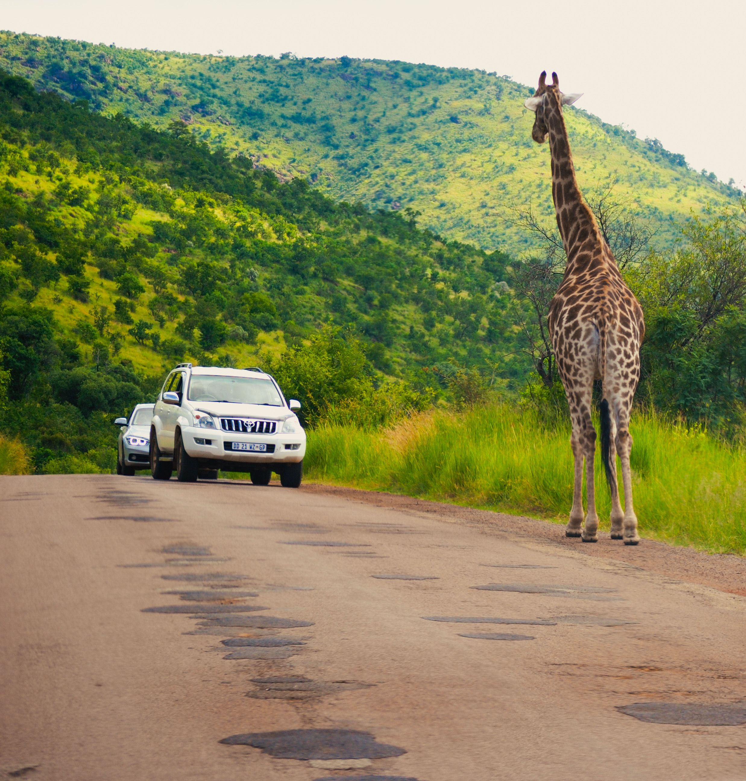 Kruger National Park