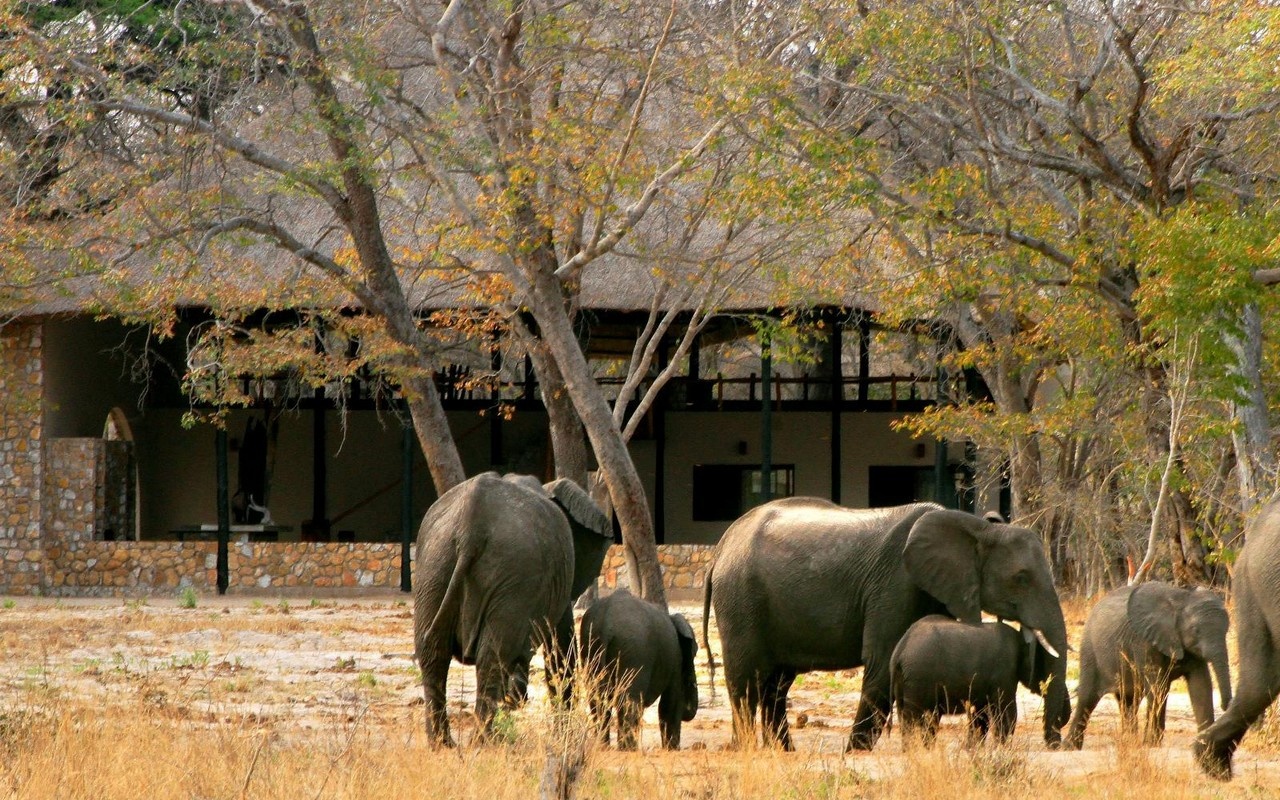 Gwango Elephant Camp