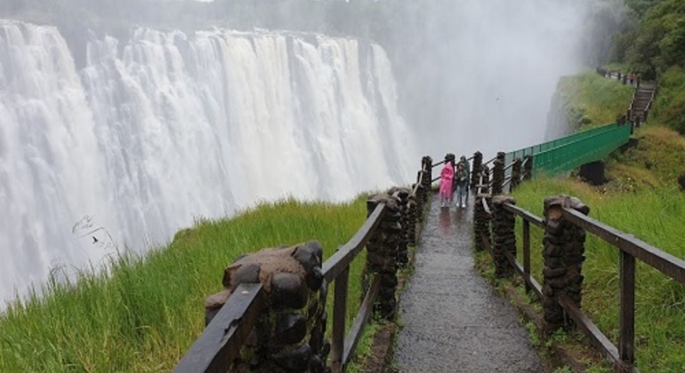 Victoria Falls Rainforest Tour