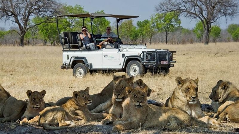 Hwange National Park Safari