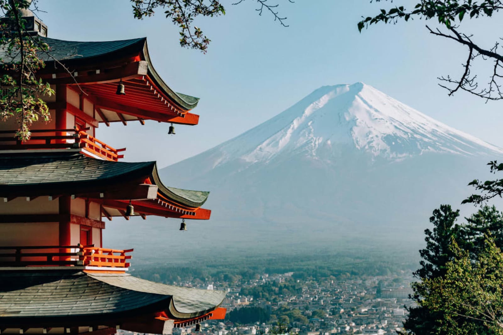 Mt Fuji In A Day: Tokyo to Lake Kawaguchi