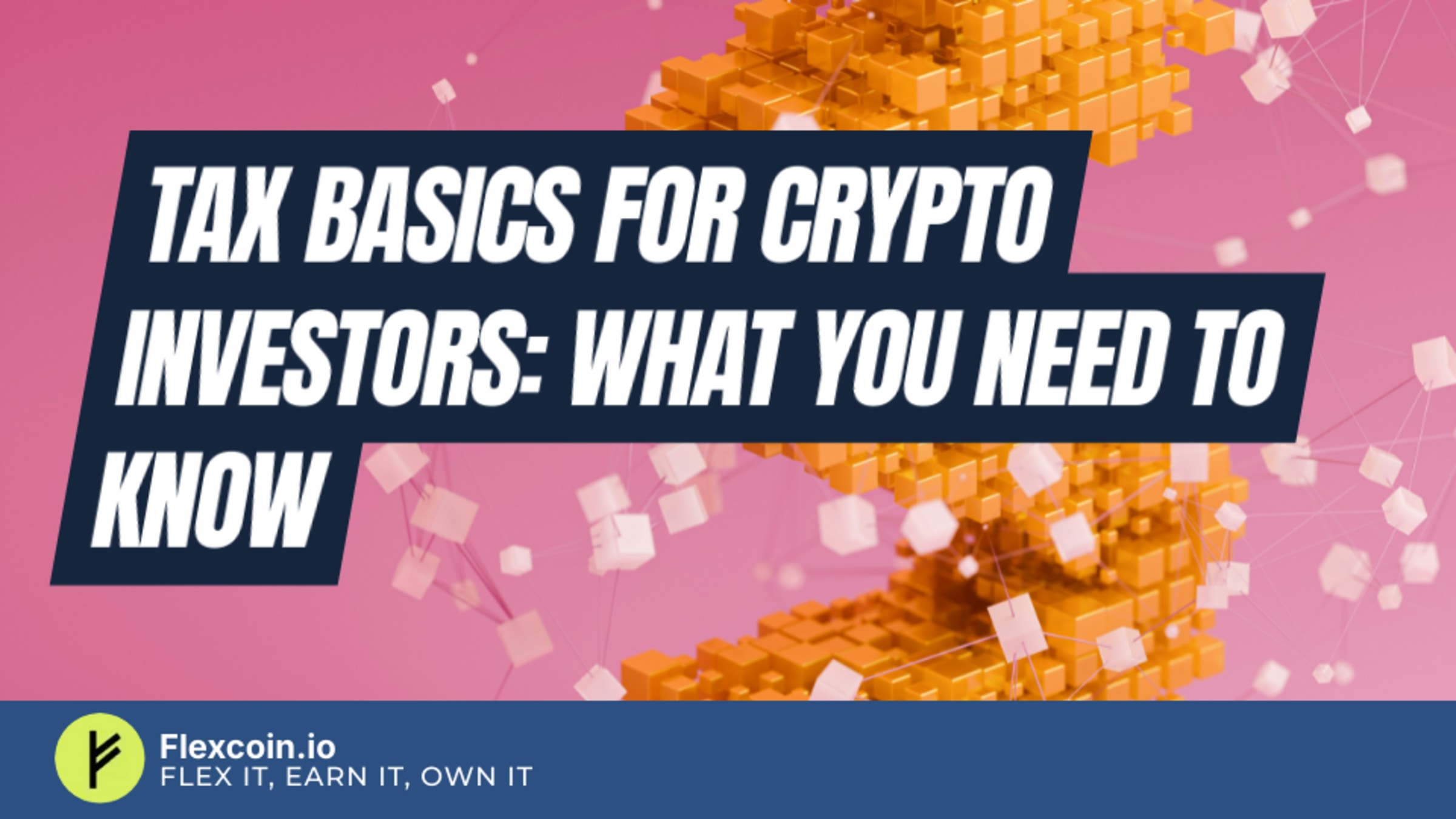 Tax Basics for Crypto Investors: What You Need to Know