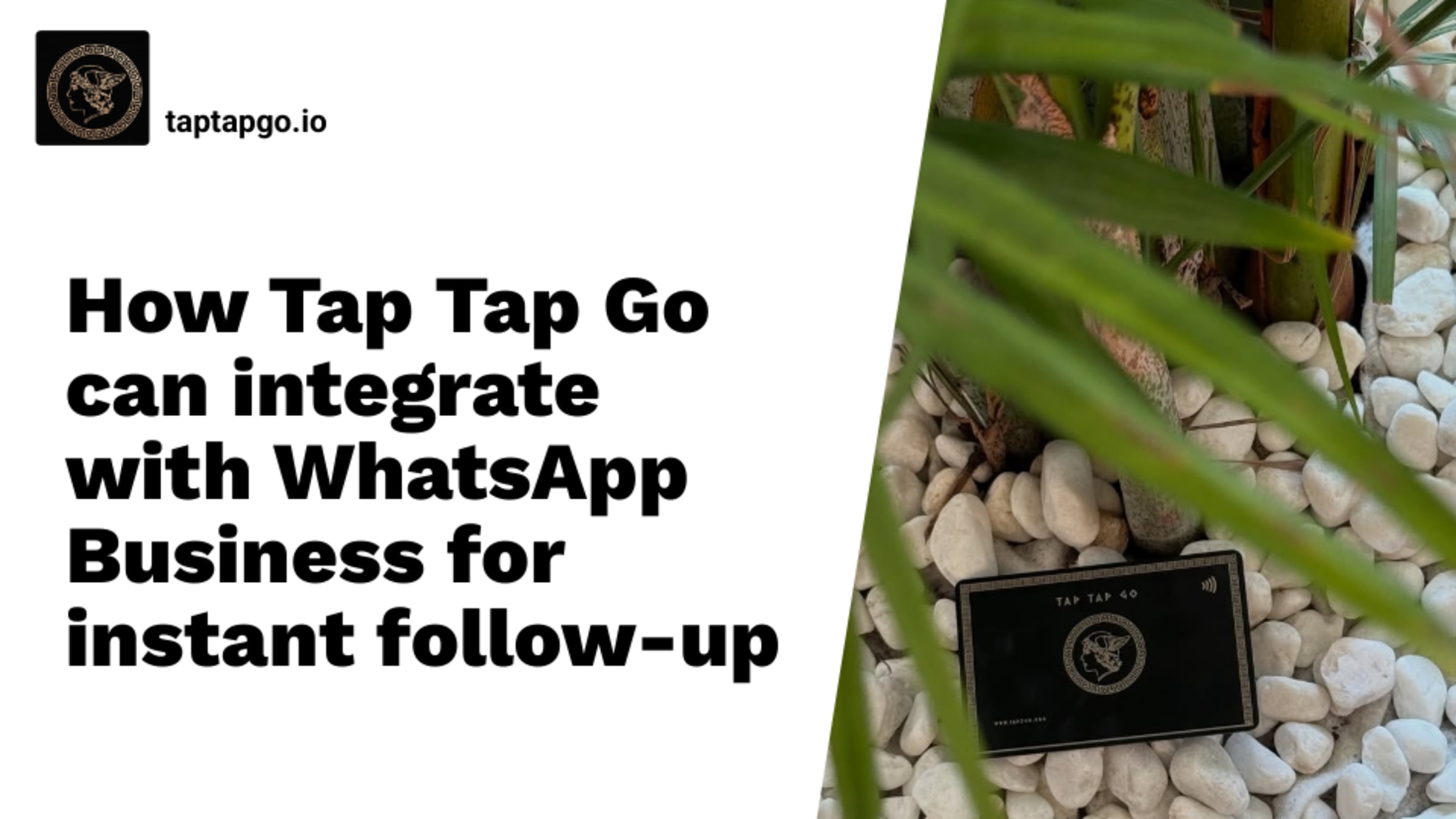 How Tap Tap Go can integrate with WhatsApp Business for instant follow-up