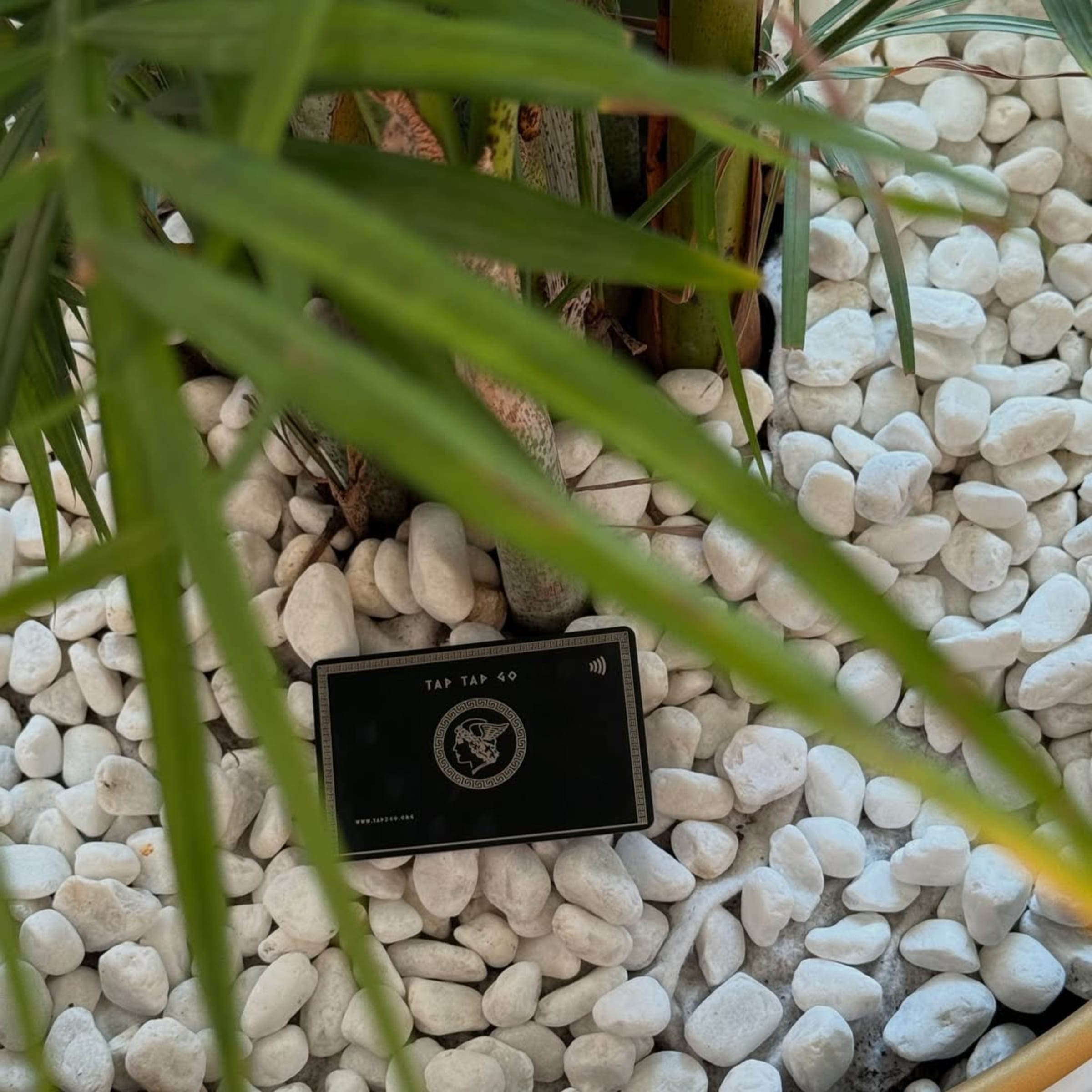 How Event Organizers Can Use Tap Tap Go as a Live Access and Ticketing Layer