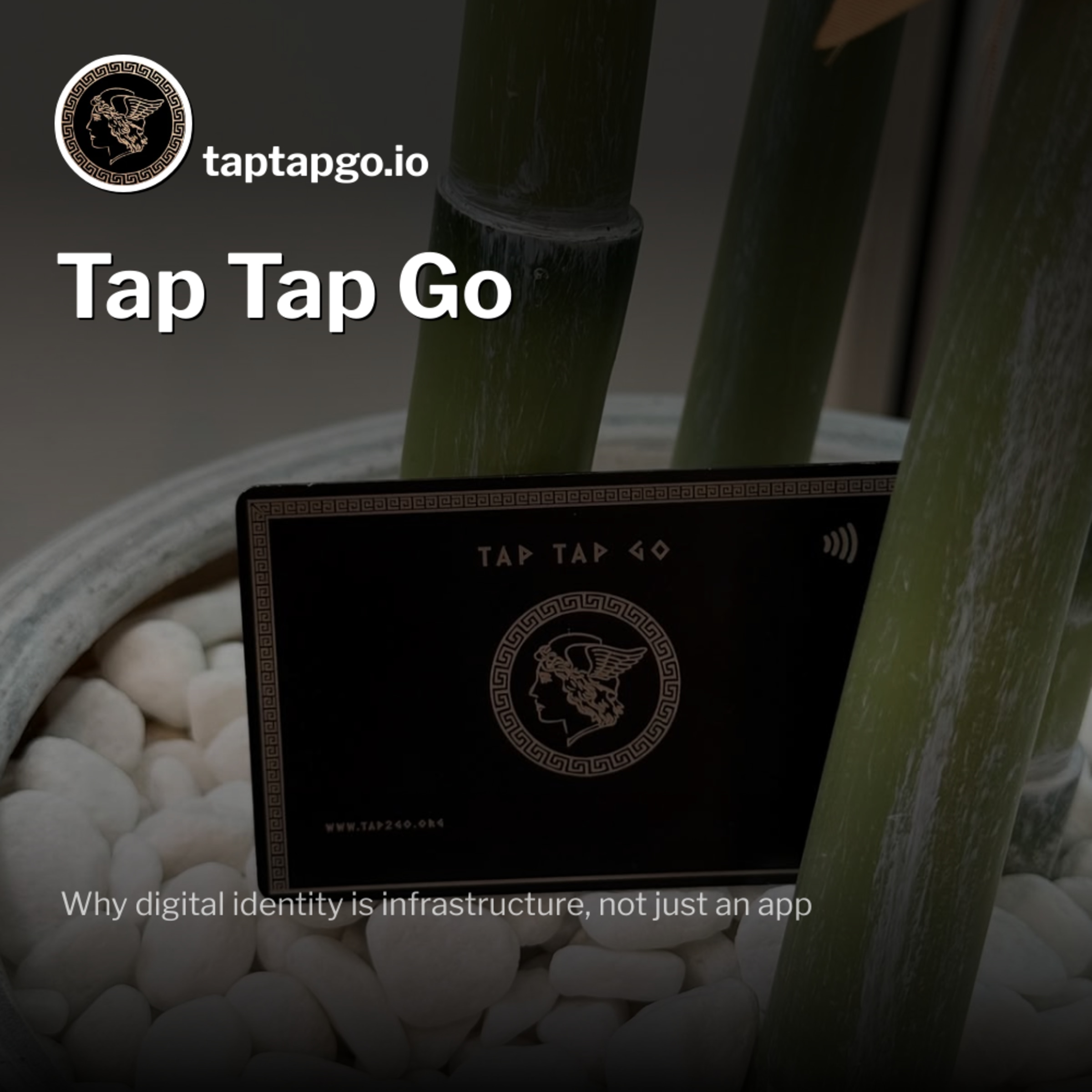 Tap Tap Go: Why digital identity is infrastructure, not just an app