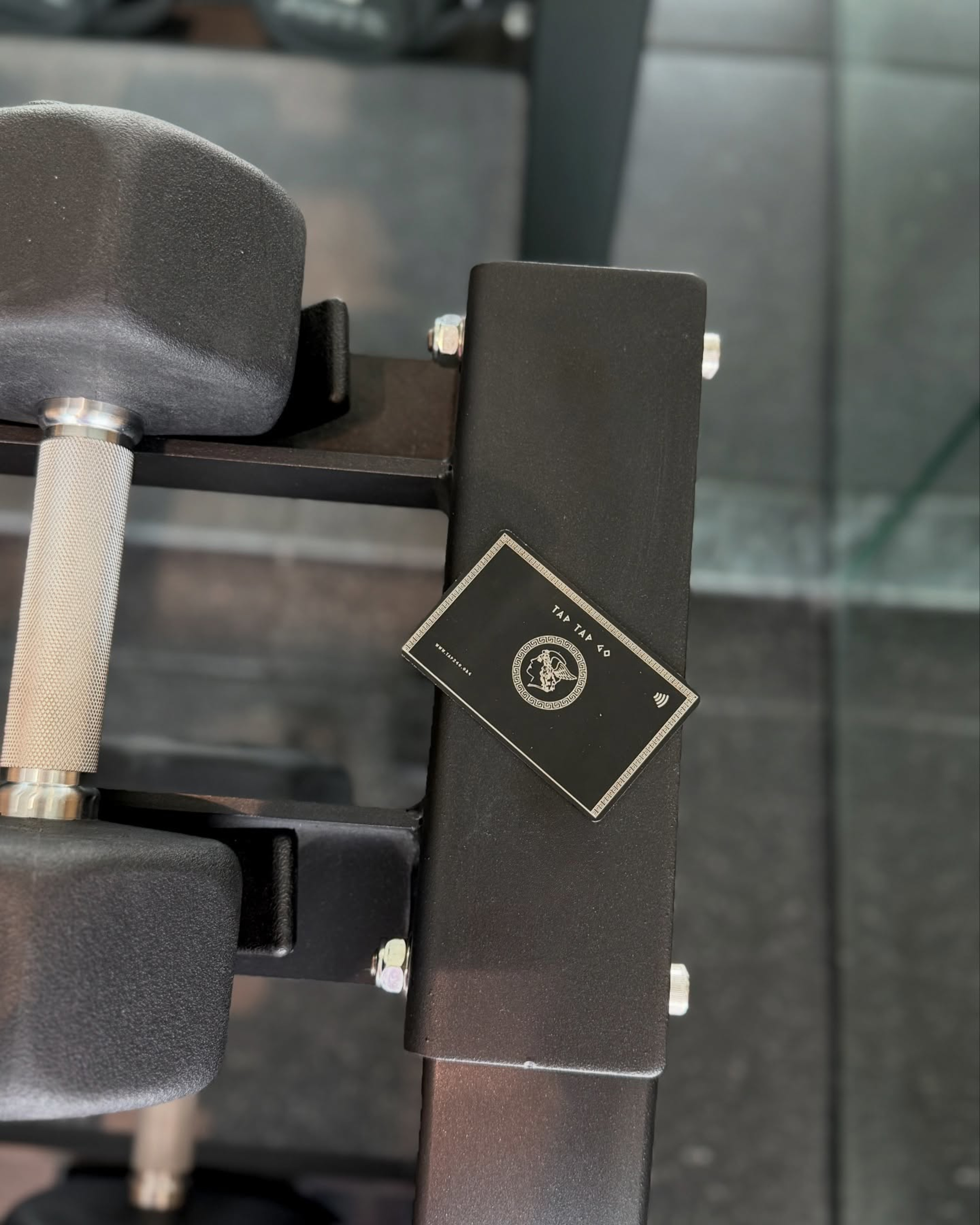 Tap Tap Go’s Loyalty Engine: How Every Tap, View, and Referral Earns You More