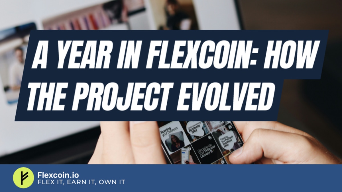 A year in FlexCoin: how the project evolved