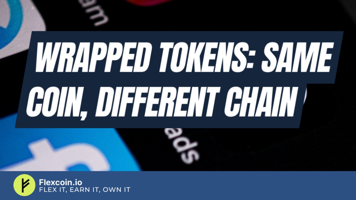 Wrapped tokens: same coin, different chain