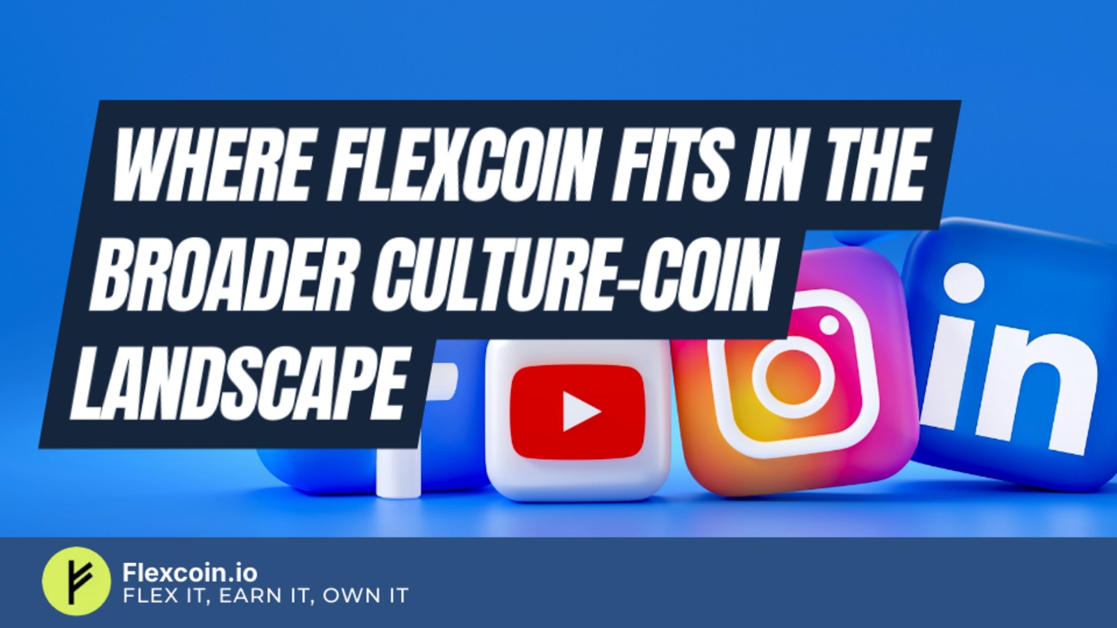 Where FlexCoin fits in the broader culture-coin landscape