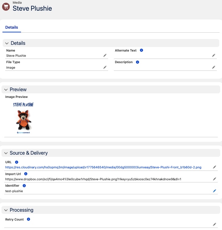 Media record showing the Import Url, Url, and Retry Count fields