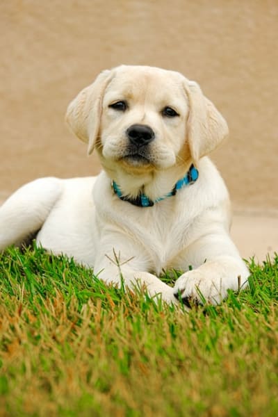 an image of something